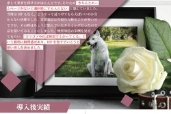ペット葬儀