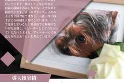 ペット葬儀